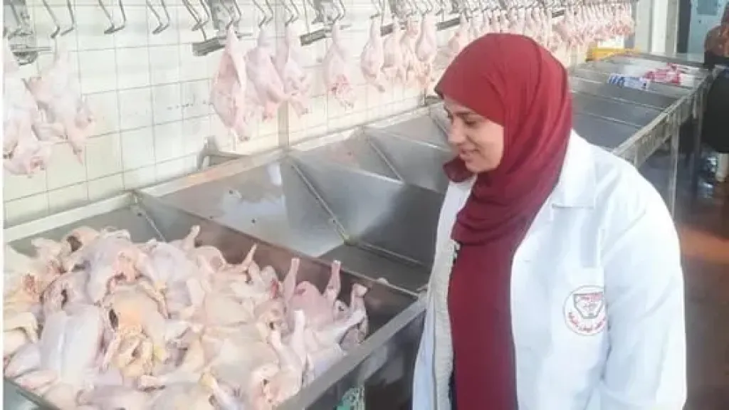 مجازر الدقهلية تعتمد تكنولوجيا أوروبية لتأمين سوق رمضان