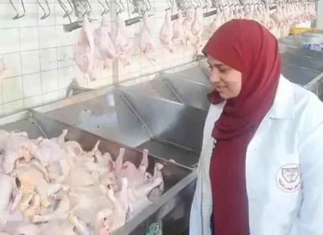 مجازر الدقهلية تعتمد تكنولوجيا أوروبية لتأمين سوق رمضان