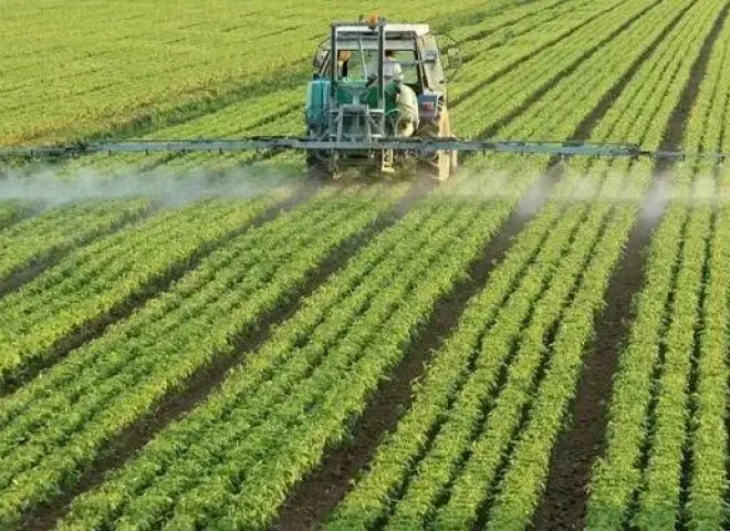 الزارعة والري: قوانين الزراعة القديمة تهدد مستقبل المزارعين