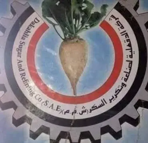 شركة الدقهلية للسكر تعلن عن حوافز ومميزات كبرى لمزارعي البنجر 2026