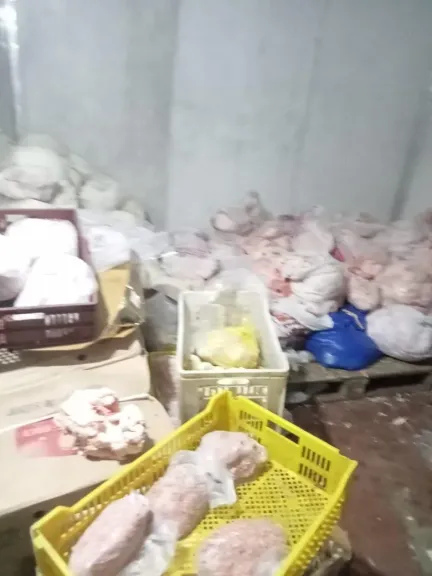 ”الزراعة” تضبط 310 أطنان لحوم غير صالحة للاستهلاك الآدمي