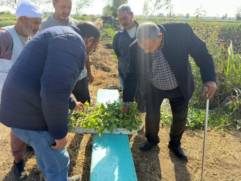 ابتكارات تدريبية لتعزيز زراعة الباذنجان بالدقهلية