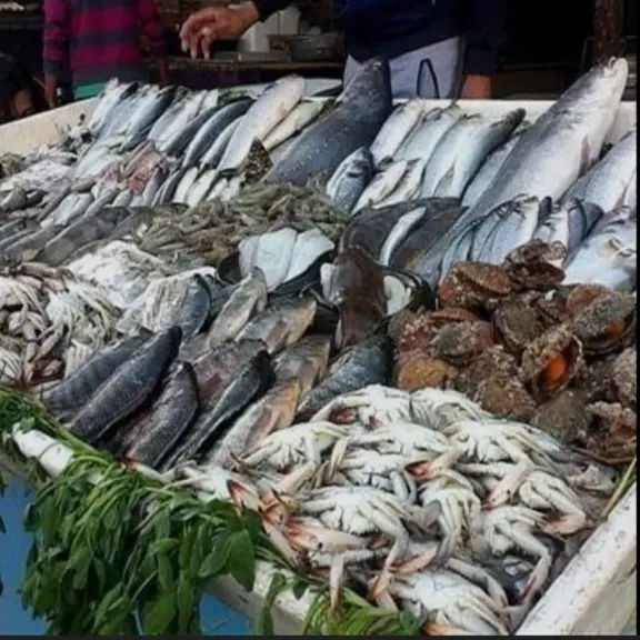 بعد ارتفاع اللحوم والدواجن.. إلى أين يتجه سوق الأسماك في مصر؟