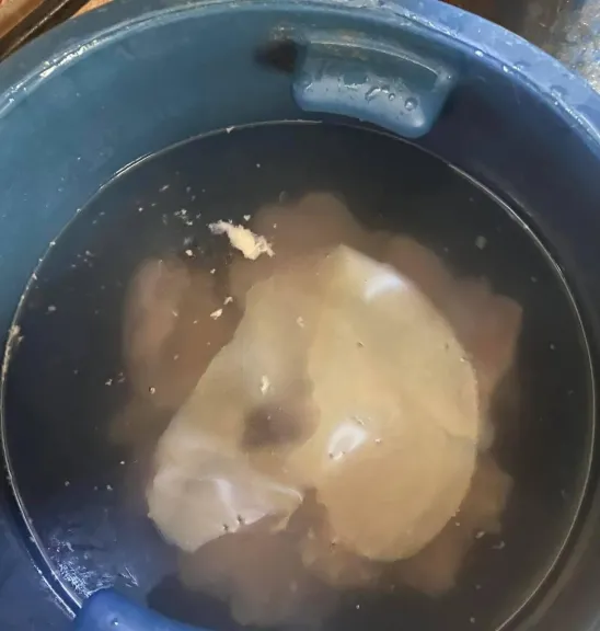 مدير الطب البيطري بسوهاج يحذر: مياه نقع الفراخ خطر على صحة المستهلك