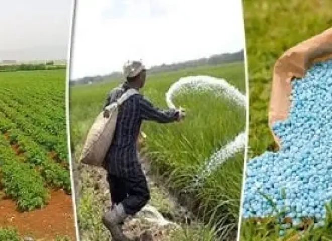 حرب هرمز تشعل أسعار الأسمدة عالميًا.. مخاوف من تداعيات على الزراعة