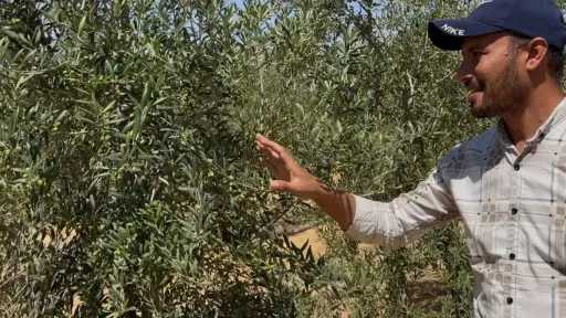 مكافحة التملح والنيماتودا والأعفان تضمن التزهير المثالي