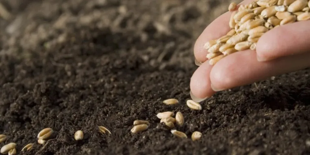 زراعة البحيرة تحذر الجمعيات من شراء مستلزمات الإنتاج