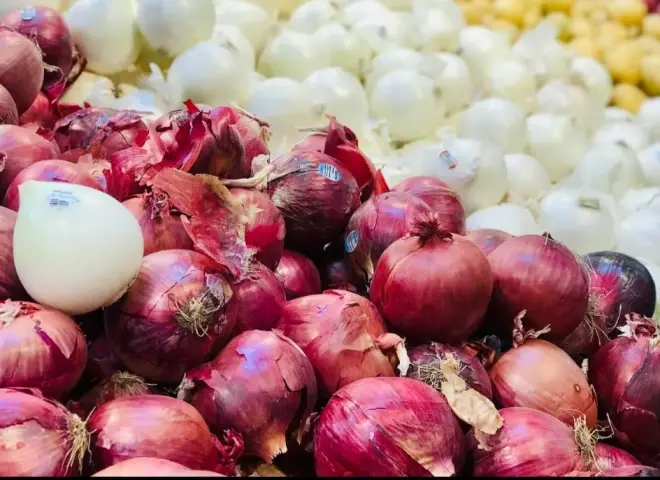 وقف تصدير البصل المصري.. حقيقة أم شائعة تربك السوق الزراعي