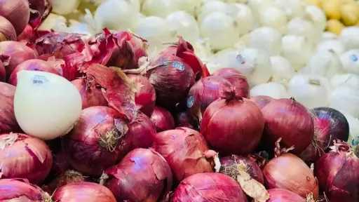 وقف تصدير البصل المصري.. حقيقة أم شائعة تربك السوق الزراعي