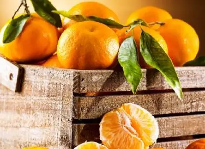 سوق الموالح العالمي 2026 يشهد إعادة تشكيل خارطة الإمدادات بين أوروبا وتركيا