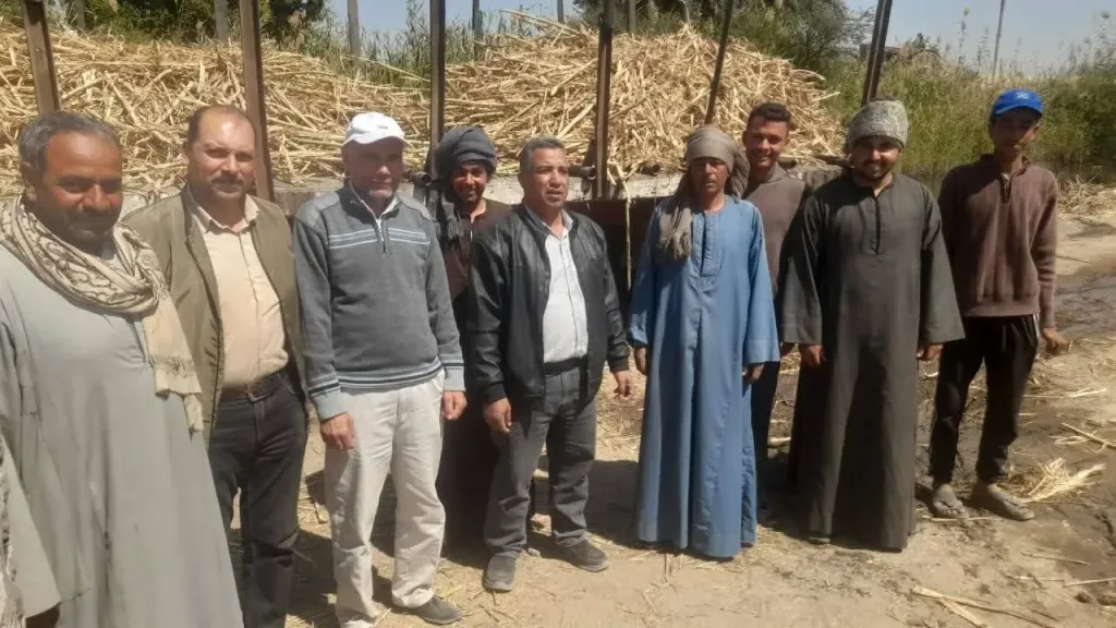 تحركات عاجلة لضمان توريد محصول قصب السكر بسوهاج