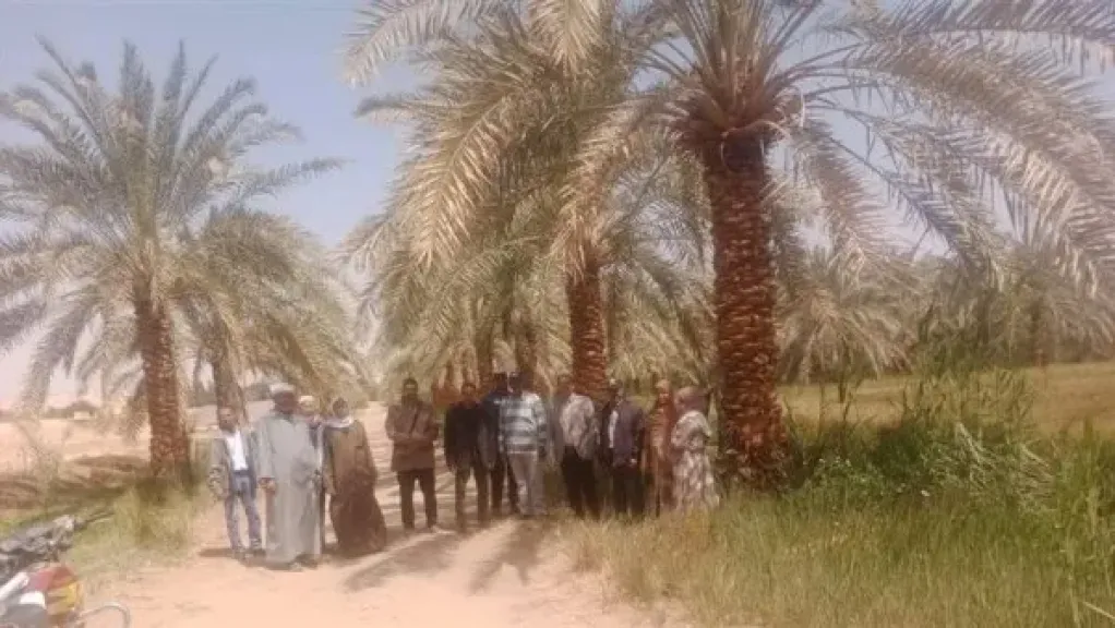 ندوة إرشادية زراعية بالوادي الجديد لتعزيز إنتاج القمح ونخيل البلح