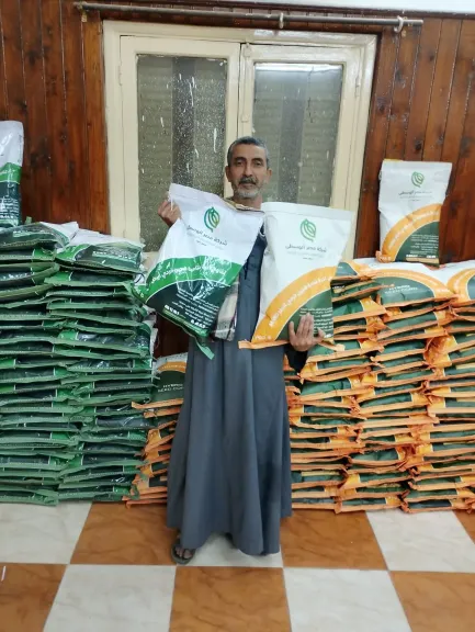 زراعة سوهاج تعلن طرح هجن الذرة الشامية عالية الإنتاجية