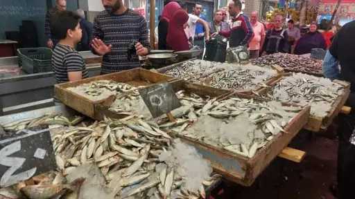 شعبة الأسماك تحذر من ارتفاع الأسعار 30% بسبب الوقود