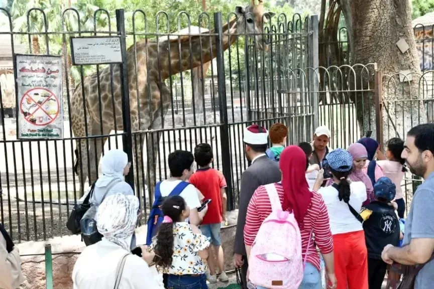 موعد افتتاح حديقة الحيوان بالجيزة ومفاجآت فى العيد