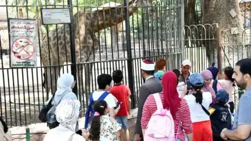 موعد افتتاح حديقة الحيوان بالجيزة ومفاجآت فى العيد