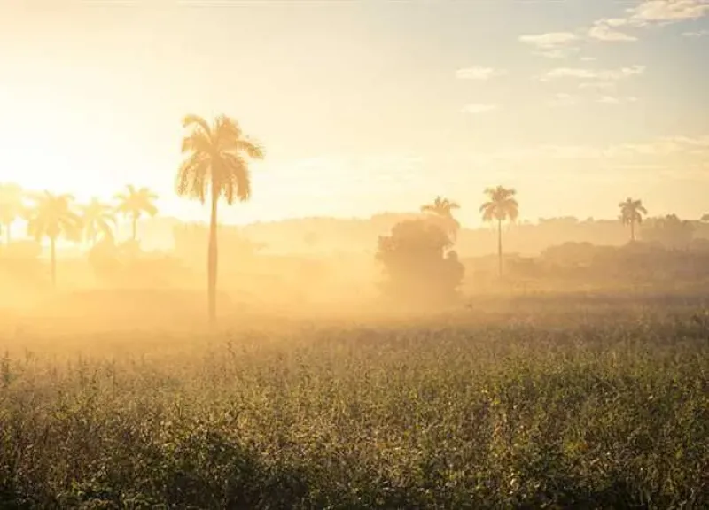 العاصفة الخماسينية تضرب مصر وتحذير عاجل للمزارعين