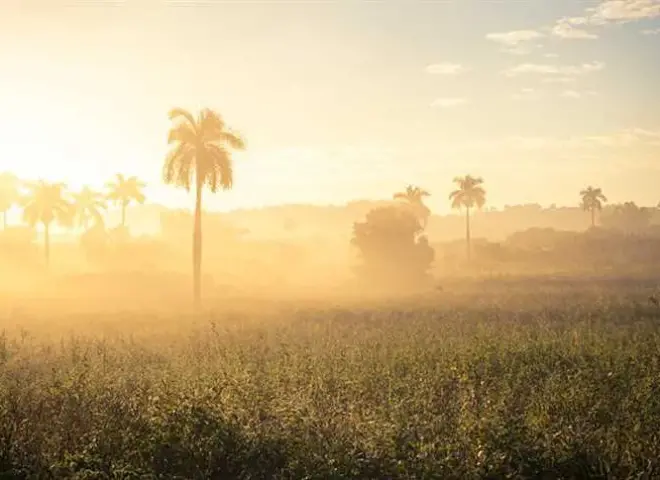 العاصفة الخماسينية تضرب مصر وتحذير عاجل للمزارعين