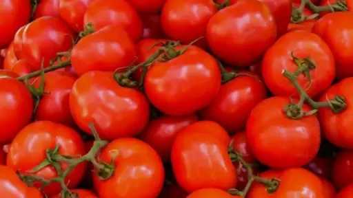 ارتفاع أسعار الطماطم يربك الأسواق وتوقعات بانخفاضها قريبا