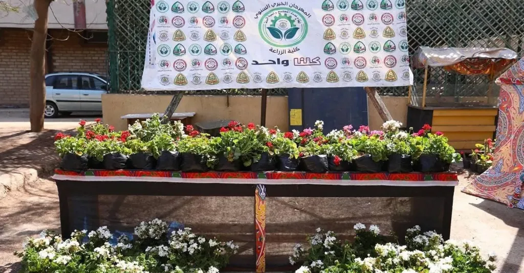 زراعة الزقازيق تطلق المهرجان الخيري وتستكمل تطوير الحديقة النباتية