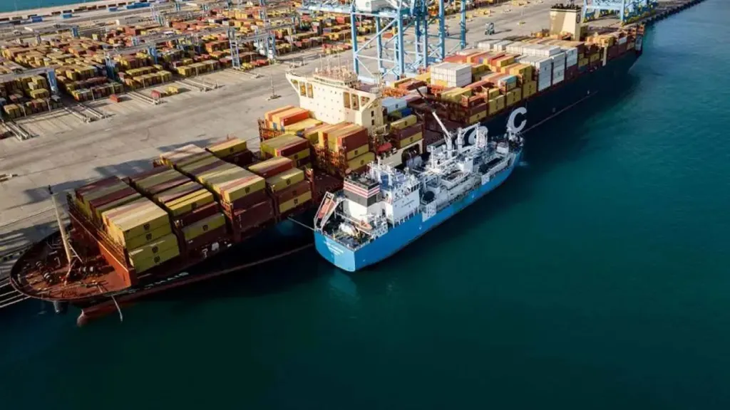 أسعار العنب والفاكهة في جنوب أفريقيا تتأثر بتأخر الشحنات العالقة بموانئ الخليج