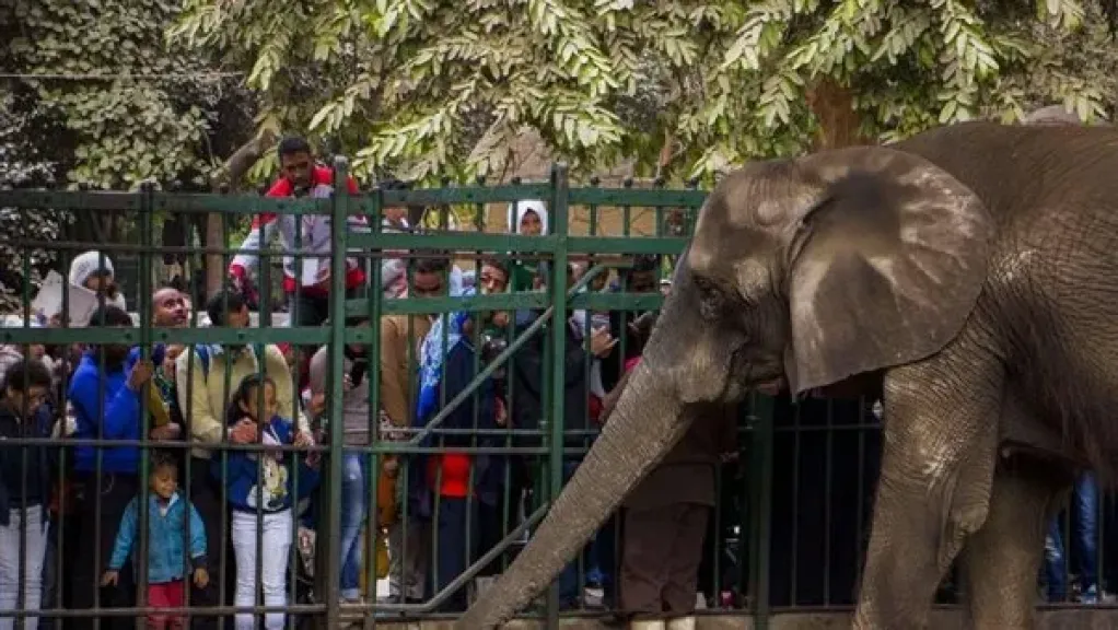 الزراعة تعلن جاهزية حدائق الحيوان والأسماك لعيد الفطر