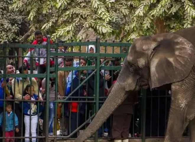 الزراعة تعلن جاهزية حدائق الحيوان والأسماك لعيد الفطر