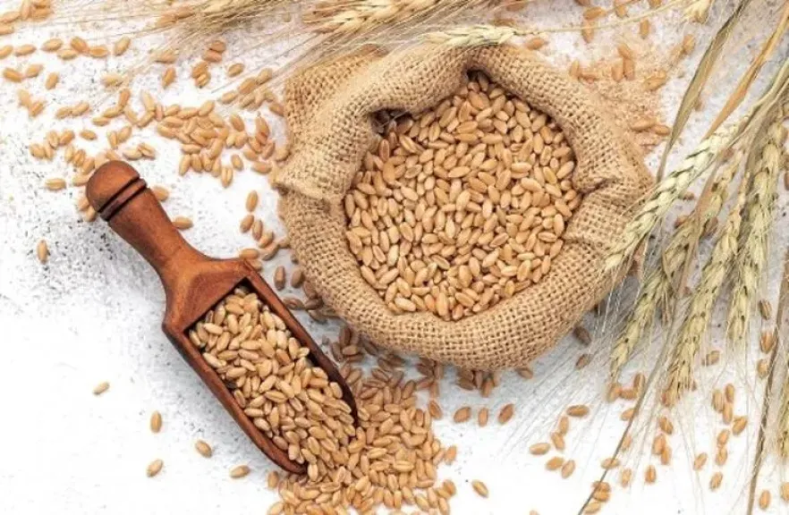 تحول معايير أمن الغذاء في دول الخليج وسط ضغوط مضيق هرمز