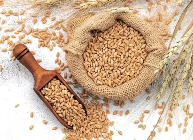 تحول معايير أمن الغذاء في دول الخليج وسط ضغوط مضيق هرمز