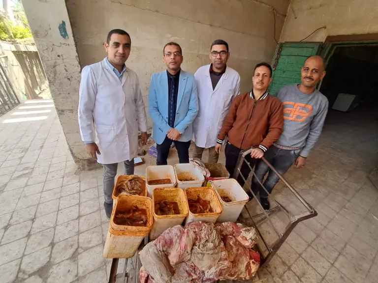 ضبط كميات من اللحوم والأسماك الفاسدة في سوهاج