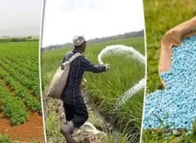 كيف تتغلب على أسعار الأسمدة وتضاعف إنتاجك الزراعي؟