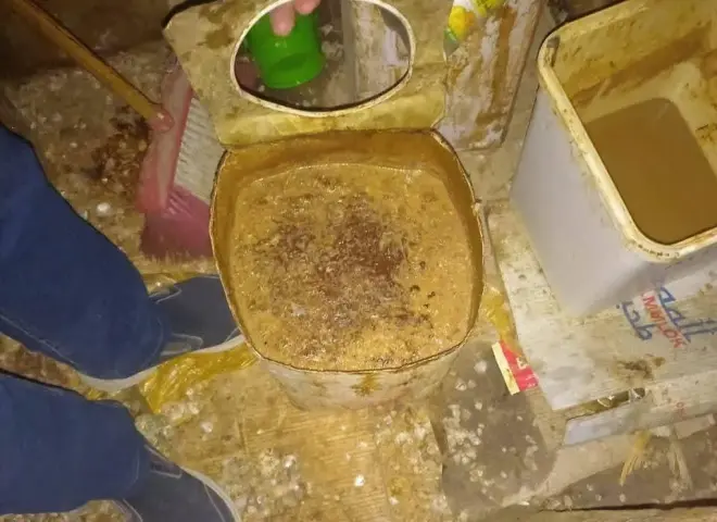 تفاصيل ضبط 300 كيلو لحوم فاسدة بسوهاج