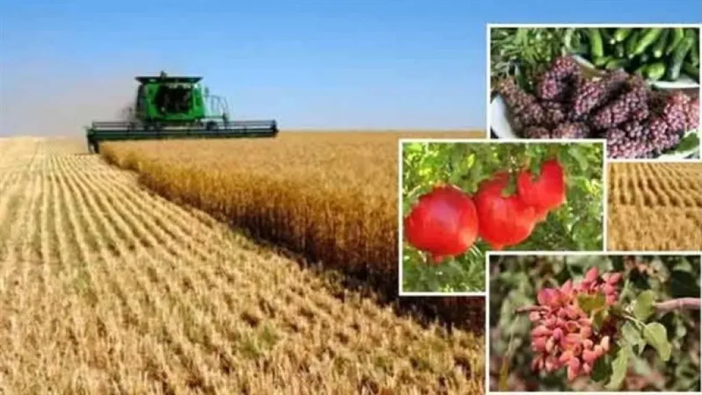 مركز المناخ يحذر المزارعين من تقلبات جوية شديدة في عيد الفطر