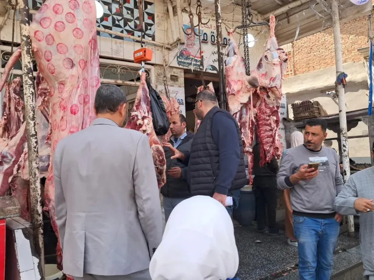 «الزراعة» تضبط 38 طنًا من اللحوم والأسماك غير المطابقة