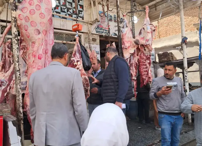 «الزراعة» تضبط 38 طنًا من اللحوم والأسماك غير المطابقة