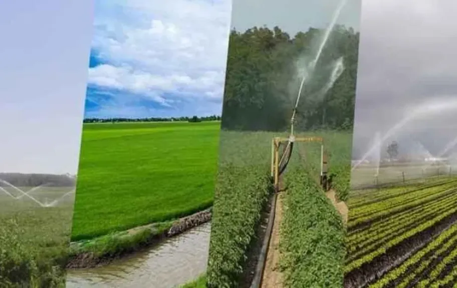 مركز المناخ يحذر المزارعين من تأثير الرياح والأمطار على المحاصيل