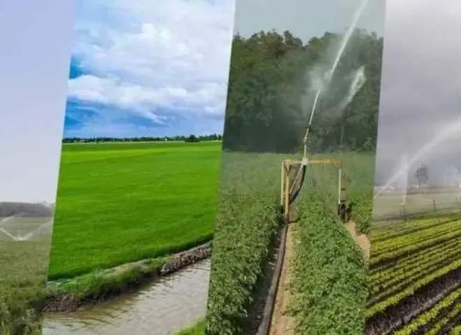 مركز المناخ يحذر المزارعين من تأثير الرياح والأمطار على المحاصيل