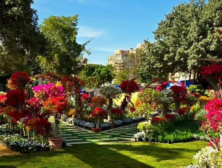 تعرف على موعد انطلاق معرض زهور الربيع