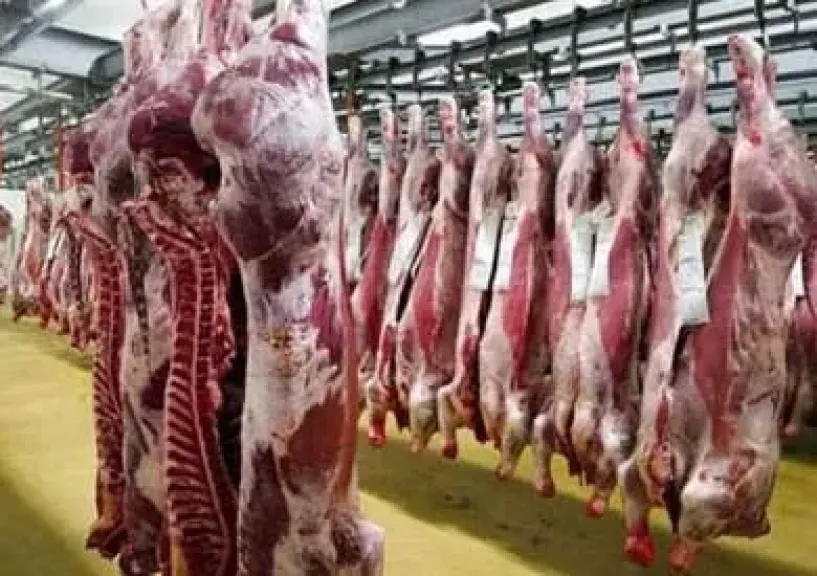 الخدمات البيطرية تدعو المواطنين للإبلاغ عن المخالفات التجارية