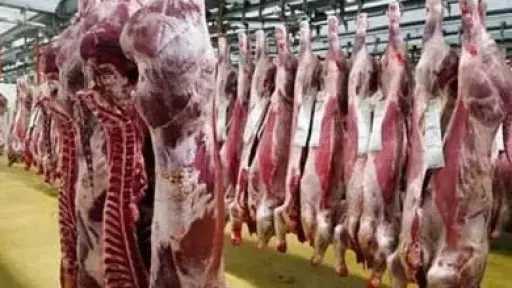 الخدمات البيطرية تدعو المواطنين للإبلاغ عن المخالفات التجارية