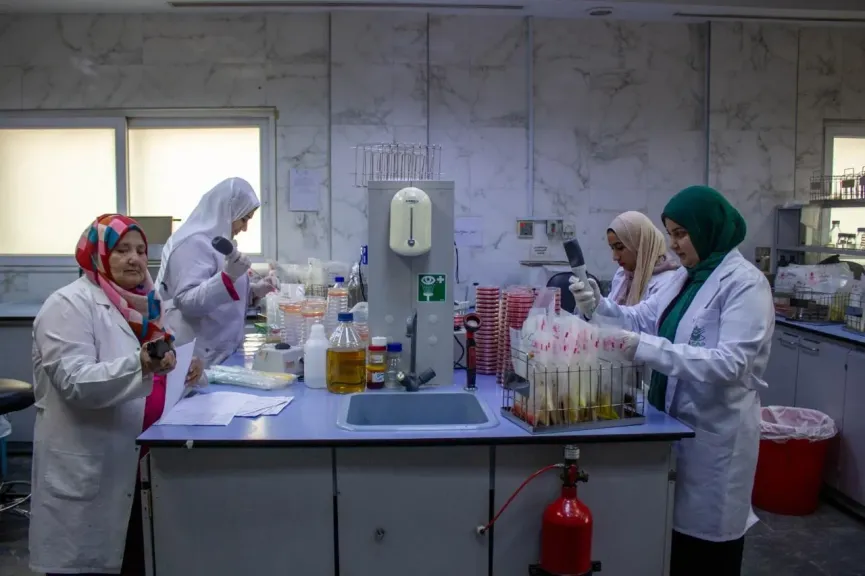 متبقيات المبيدات: فحص 1900 عينة من الشحنات الصادرة والمستوردة في العيد