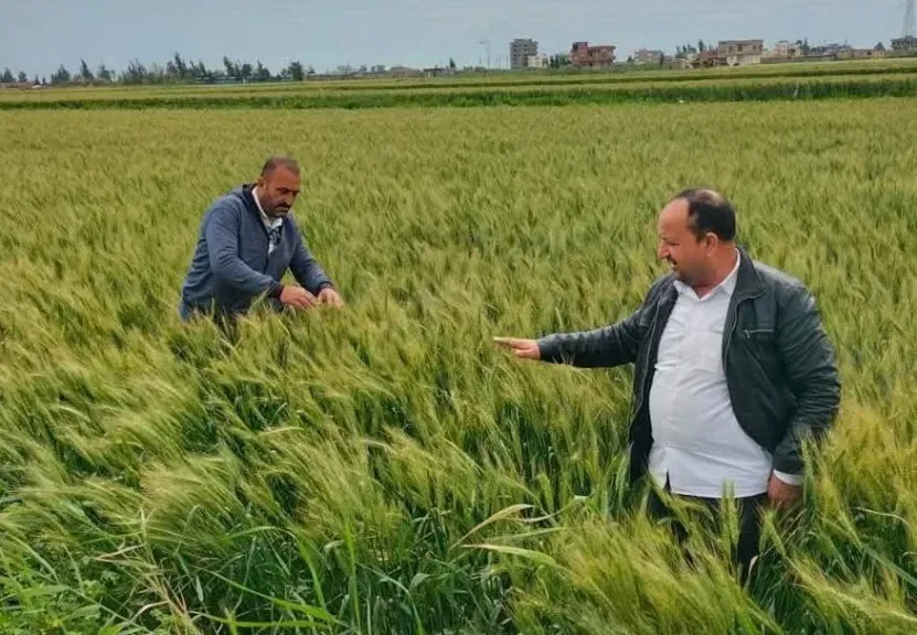 الزراعة تكثف الجهود لحماية الأرض الزراعية خلال العيد