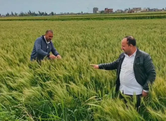 الزراعة تكثف الجهود لحماية الأرض الزراعية خلال العيد