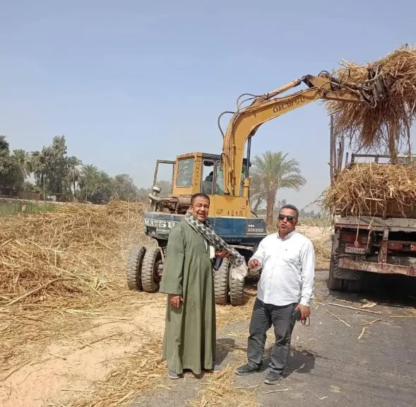 توريد القصب بسوهاج في مواجهة التحديات وإنقاذ الموسم