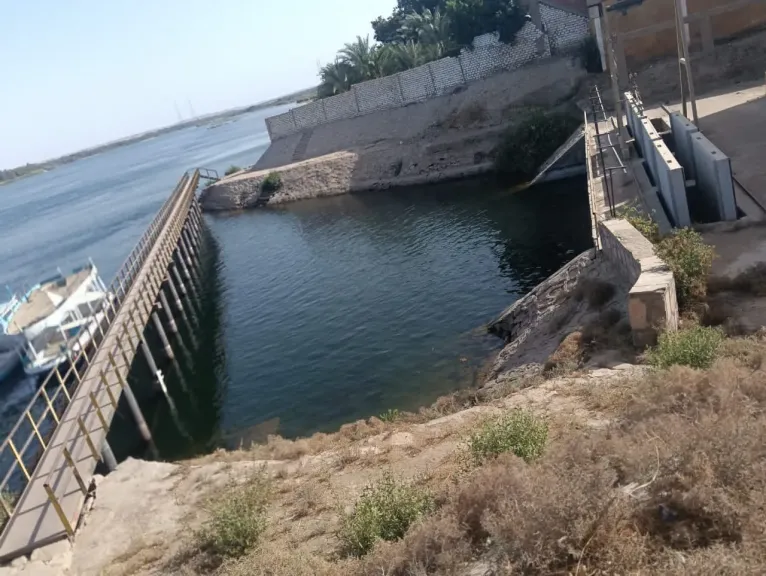 قيادات ”الزراعة” تواصل جهود المرور وحماية الأراضي ومتابعة المحاصيل بـ 4 محافظات