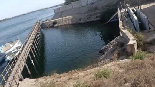 قيادات ”الزراعة” تواصل جهود المرور وحماية الأراضي ومتابعة المحاصيل بـ 4 محافظات