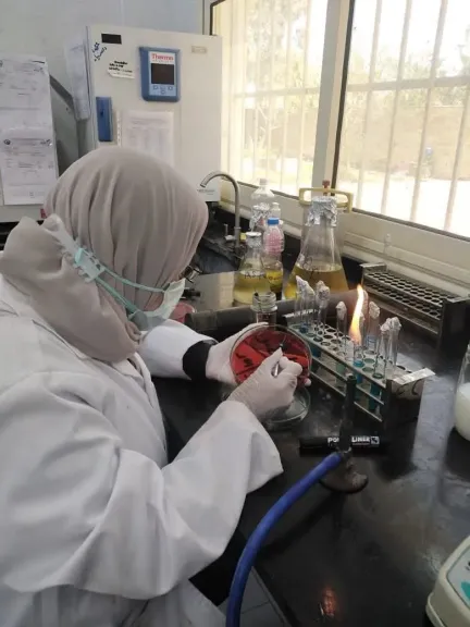 ”صحة الحيوان”: فحص 470 ألف طائر و74 طن أغذية لتأمين مائدة المصريين خلال ايام العيد