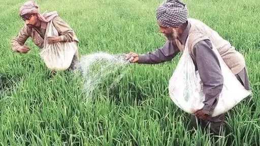 توترات هرمز ترفع تكلفة الأسمدة النيتروجينية على مصر