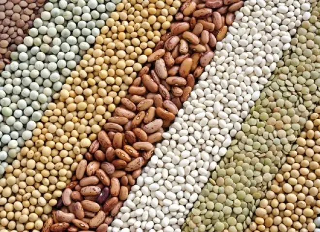 ارتفاع أسعار التقاوي الصيفية بنسبة تصل إلى 25%