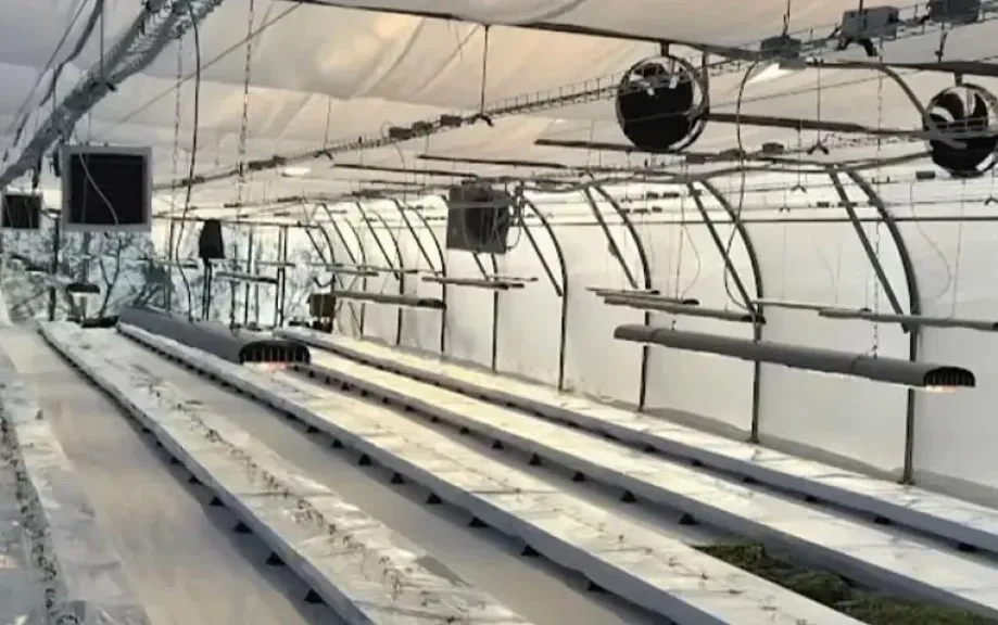 أوكرانيا تختبر تقنية يابانية لزراعة الخضروات بدون تربة